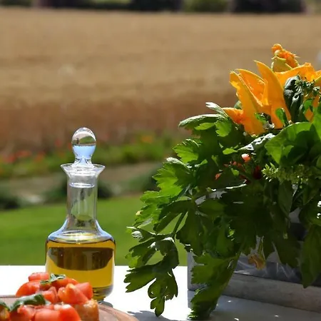 Il Vecchio Mandorlo Vakantieboerderij