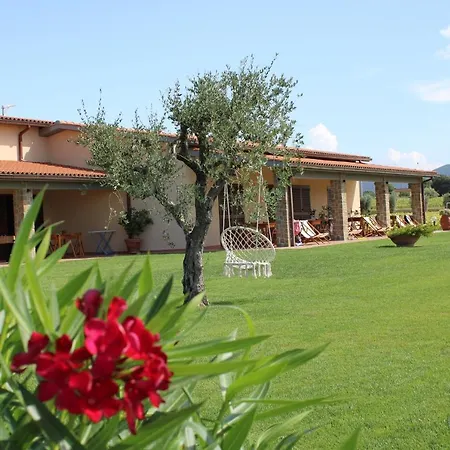 Il Vecchio Mandorlo Castiglione della Pescaia